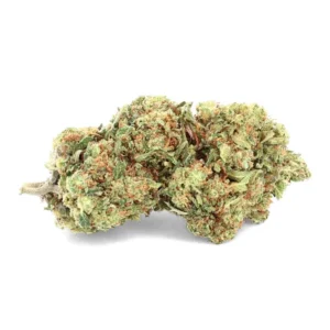 Blueberry – Old Green