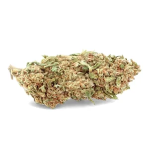 Blueberry NL1 – Old Green